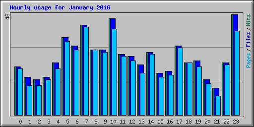 Hourly usage for January 2016